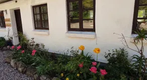 Emily's Garden - Image 4