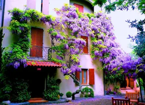 Le Querce Hotel - Image 3