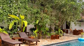 Green Grove - Image 3