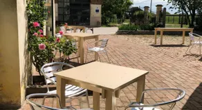 Cá Scirocco - Image 3