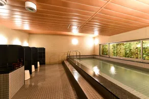 Hida Takayama Washington Hotel Plaza - Image 2