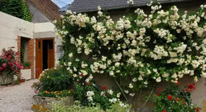 Chambre coquelicot - Image 3