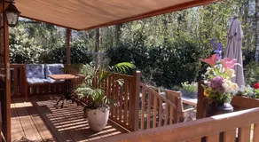 B&B Porcini - Image 5
