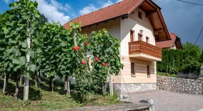Holiday Home In Dobrnic - Dolenjska & Bela Krajina Unter- & Weisskrain 26093 - Image 4