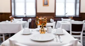Rosen Villa Sibiu - Image 2