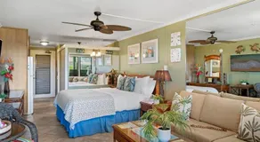 Napili Bay 210 · NB 210 Napili Bay Studio with Direct Ocean View - Image 2
