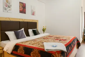 The Prasher Lodge , Mall road Manali - Image 2