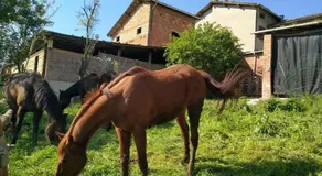 Agriturismo I Locati - Image 3