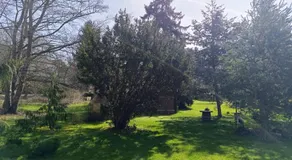Ferienwohnung Waldblick - Image 5