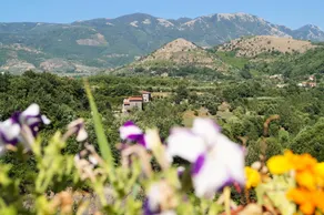 B&b Sant'Agata - Image 2