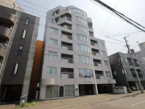 City petrushka - Image 4