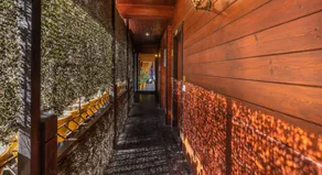 The Hosteller Kasar Devi - Image 4