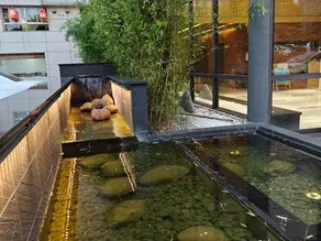 Yueting Hotel Selected (Nantong Gongnong North Road) - Image 2
