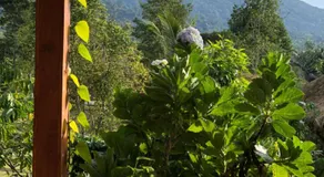 Dasa Vayu Retreat and Cottage - Image 5