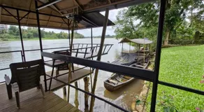 Pearl Spot - Image 3