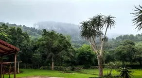 Serenity Cottages - Image 5