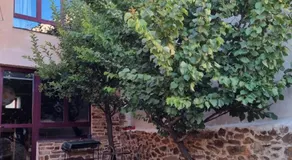 Albergue Gabino - Image 3