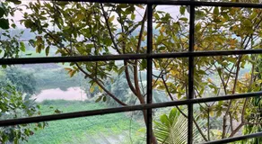Tekri Farms and Retreat - Image 4