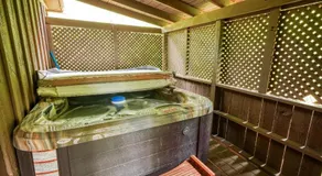 Blue Rose Cabins - Pinecrest Cabin - Hocking Hills - Image 3