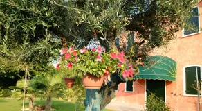 Il Farfasole - Image 5
