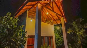 Sinharaja Rainforest Vibe - Image 5