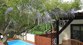 Apartmán Bílá Hora - Plzeň - Image 2