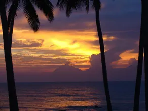 Clove Beach Wadduwa - Image 3