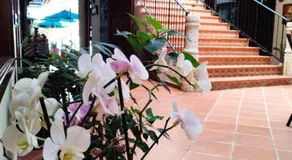 Hotel boutique CM - Image 3