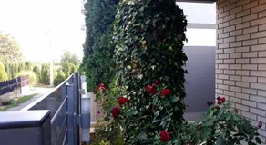 Apartments Popovic - Image 4