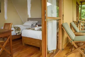 Ichumbi Gorilla Lodge - Image 5