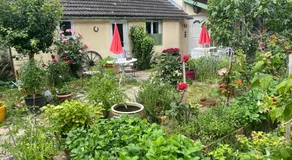 Chambres d'hôtes La Catounière - Image 3