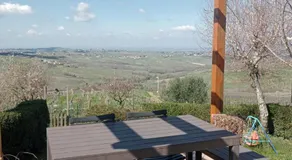 NiFe Tiny House - Secret Garden - Image 5