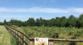 La Suzannerie - Image 4