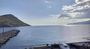 Almia Kotronas - Image 3