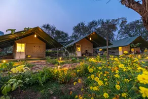 Camp Sethumadai - Image 1