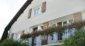 Chalet cosy avec cheminée et animaux acceptés - FR-1-585-144 - Image 3