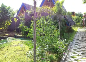 Lombok Sunset Hideaway - Image 5