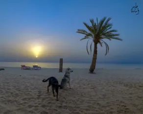 Antika beach camp - Image 3
