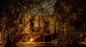 Eden Garden By Cliff Way - Image 5