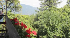 B&B Baita Evelina - Image 5
