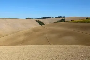 Il Gelso - Image 3
