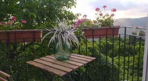 KISS from CILENTO - Image 5