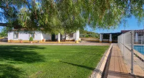 Montinho do Palanque - Image 4