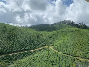 Maryland Homestay - Image 3