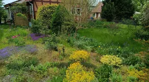 Ferienhof Maikito - Image 5