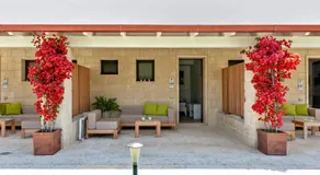 Olive Garden House - Image 5