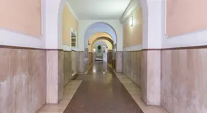 Golden Ratio - Image 4