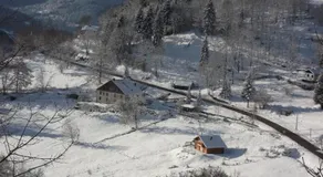 La Ferme du Vieux Sapin - Image 2