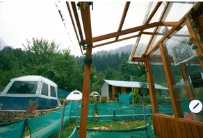 Moonlight Huts and Cafe - Image 5