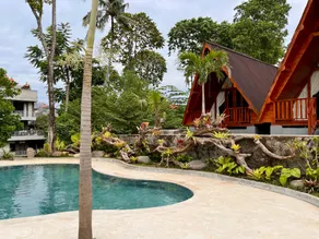 Dalung Tropical - Image 3